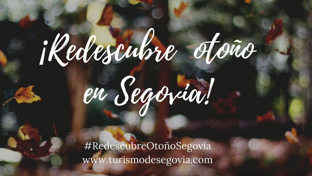 TurismoSegovia's tweet photo. “El otoño es una segunda primavera en la que cada hoja es una flor”. Albert Camus – Novelista

Comparte con nosotros tu rincón favorito de Segovia en otoño. 
#RedescubreOtoñoSegovia #SegoviaTeEspera https://t.co/KHVbJAcQqo