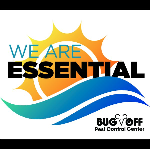 BugOffPest's tweet photo. Visit the Bug Off Pest Control Center New York Pest Expo page to experience this years event: https://t.co/iNxkzMVIfV
#BugOff #PestExpo #WeAreEssential #PestManagementProfessionals #ExpoIsEssential #SeeYouLiveIn2021 #BASFPestControl #PestControl https://t.co/vlSPvA6QUZ
