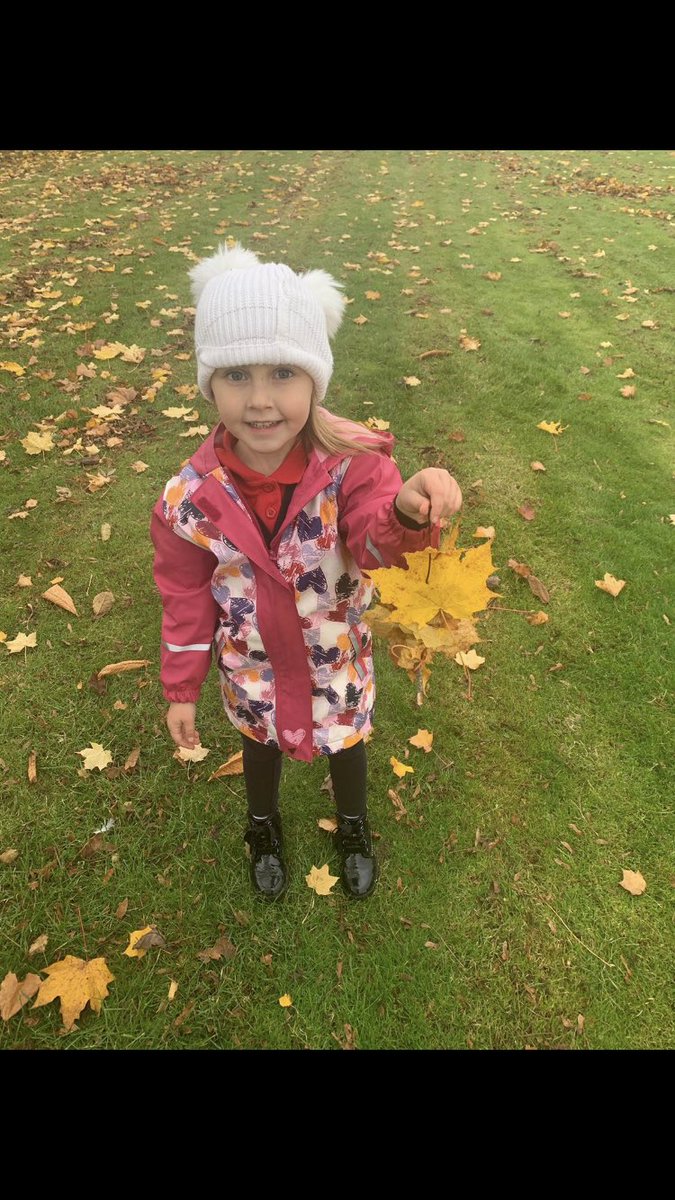 StPaulsRCPS's tweet photo. Our P3s have been finding and describing things in nature. The children then used the materials to make letters, people and some of the girls even tried to knit using the leaves. @OutdoorClassDay 🌳🌿#superwork #greatjob #lookwhatwefound #leafsewing https://t.co/IQuFcpYkrW