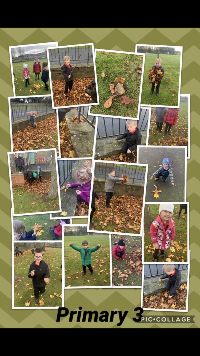 StPaulsRCPS's tweet photo. Our P3s have been finding and describing things in nature. The children then used the materials to make letters, people and some of the girls even tried to knit using the leaves. @OutdoorClassDay 🌳🌿#superwork #greatjob #lookwhatwefound #leafsewing https://t.co/IQuFcpYkrW