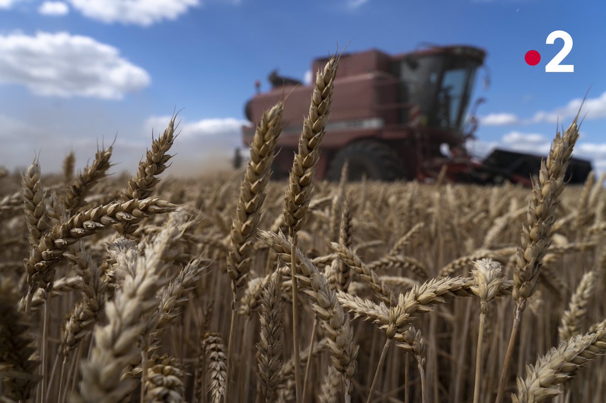 _AXEREAL's tweet photo. 📺 [À la TV]
 
Merci à l’équipe de l’émission #TerresDePartage pour leur reportage sur notre système traçabilité blockchain farine #SavoirTerre.
 
👉 Au moulin #Axiane Vivonne et chez Benoît Daviau, céréalier engagé dans la démarche 🌱 
 
RDV ce samedi vers 12h50 sur @France2tv ! https://t.co/dBOmf6VIvb