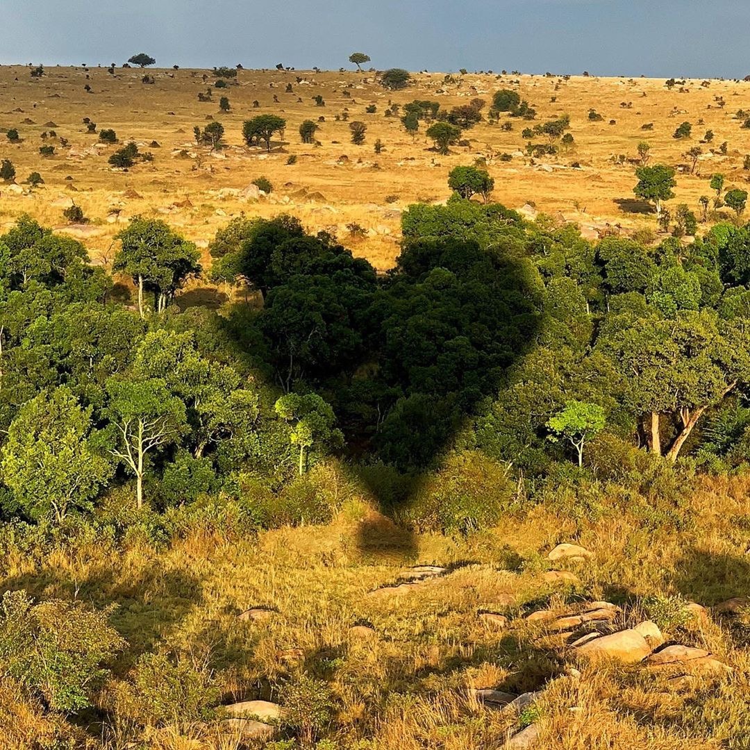 Archillect (@archillect) on Twitter photo 