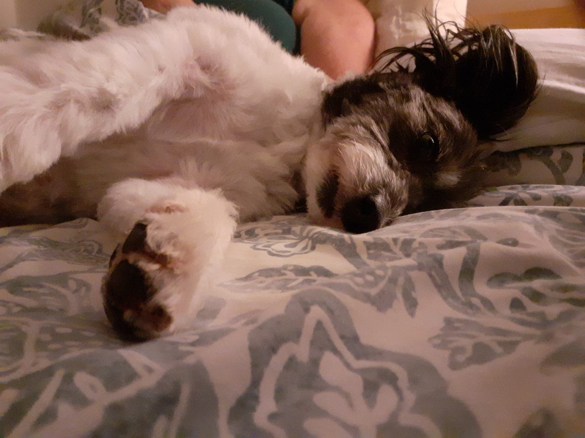 Skerries Community College Photography Club tweet media