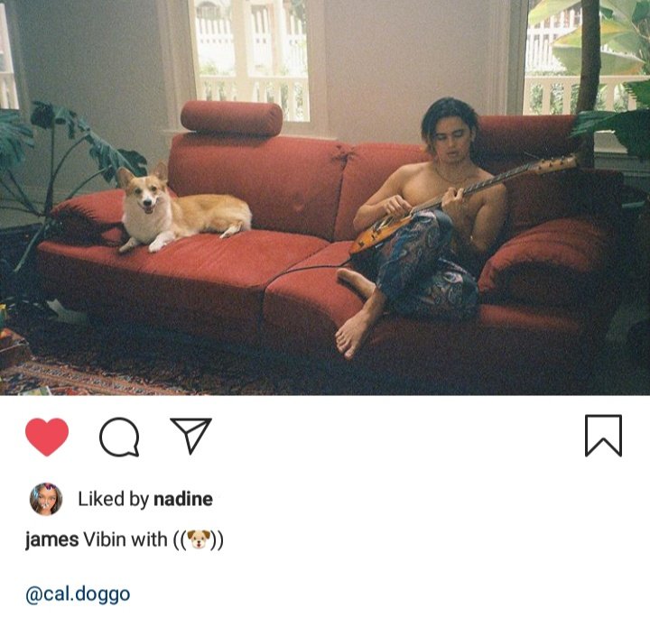 lovexpsyche's tweet photo. BAHAY NAMIN ๐๐๐ถ
#SCOUTWDNADINE
๐ทjames https://t.co/hrcBEORAZm