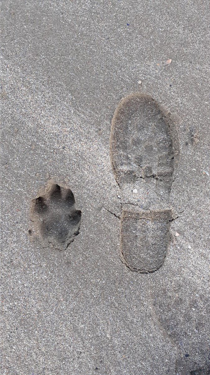 Skerries Community College Photography Club tweet media