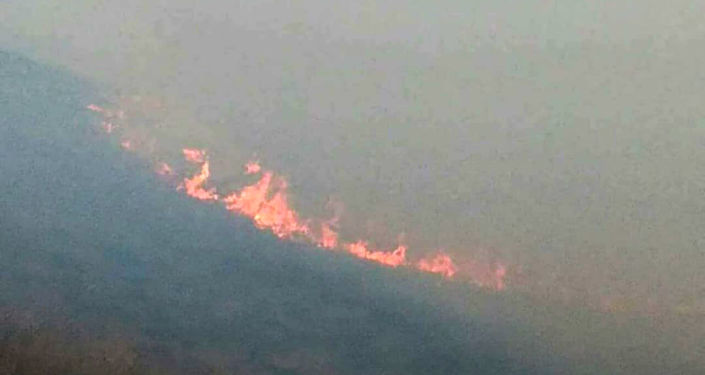 susannaOO9's tweet photo. When I saw #Artsakh forests on fire I remembered the story of Solomon about 2 women claiming to be the mom of a baby. When he suggested solving this conflict by cutting the baby into 2 pieces the fake mom didn't mind. 

Today, #Azerbaijan reminds me the fake "mom". https://t.co/sBFKFNTQBY