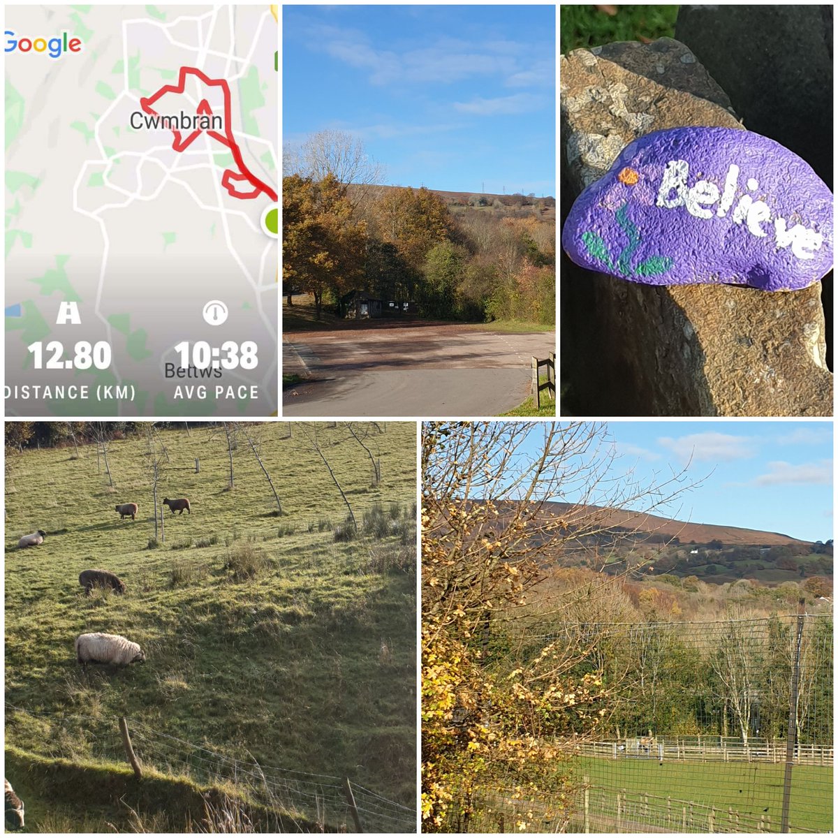 Cuckooqueen's tweet photo. Day 5 #10000stepschallenge @PancreaticCanUK #purplerocks #Torfaenrocks #pancreaticcancerawarenessmonth another 12 km covered 🥰 https://t.co/PS8EHZPatZ