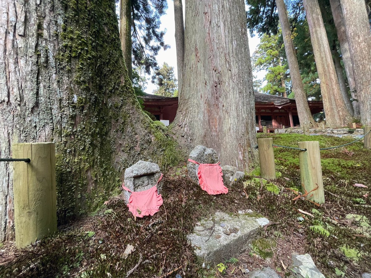iedaV2's tweet photo. #比叡山 #延暦寺 の常行堂・法華堂のツインズ感、よかった！(通称 #にない堂)

２つでやっと機能する、って仕組みスゴい…！

ぼく的、注目ポイントは、その直前にあるお地蔵様ツインズ👯‍♂️(かわいい…&amp;ありがたみ… https://t.co/ZtCkETPKml
