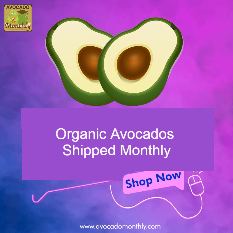Avocado Monthly (@AvocadoMonthly) / Posts / X