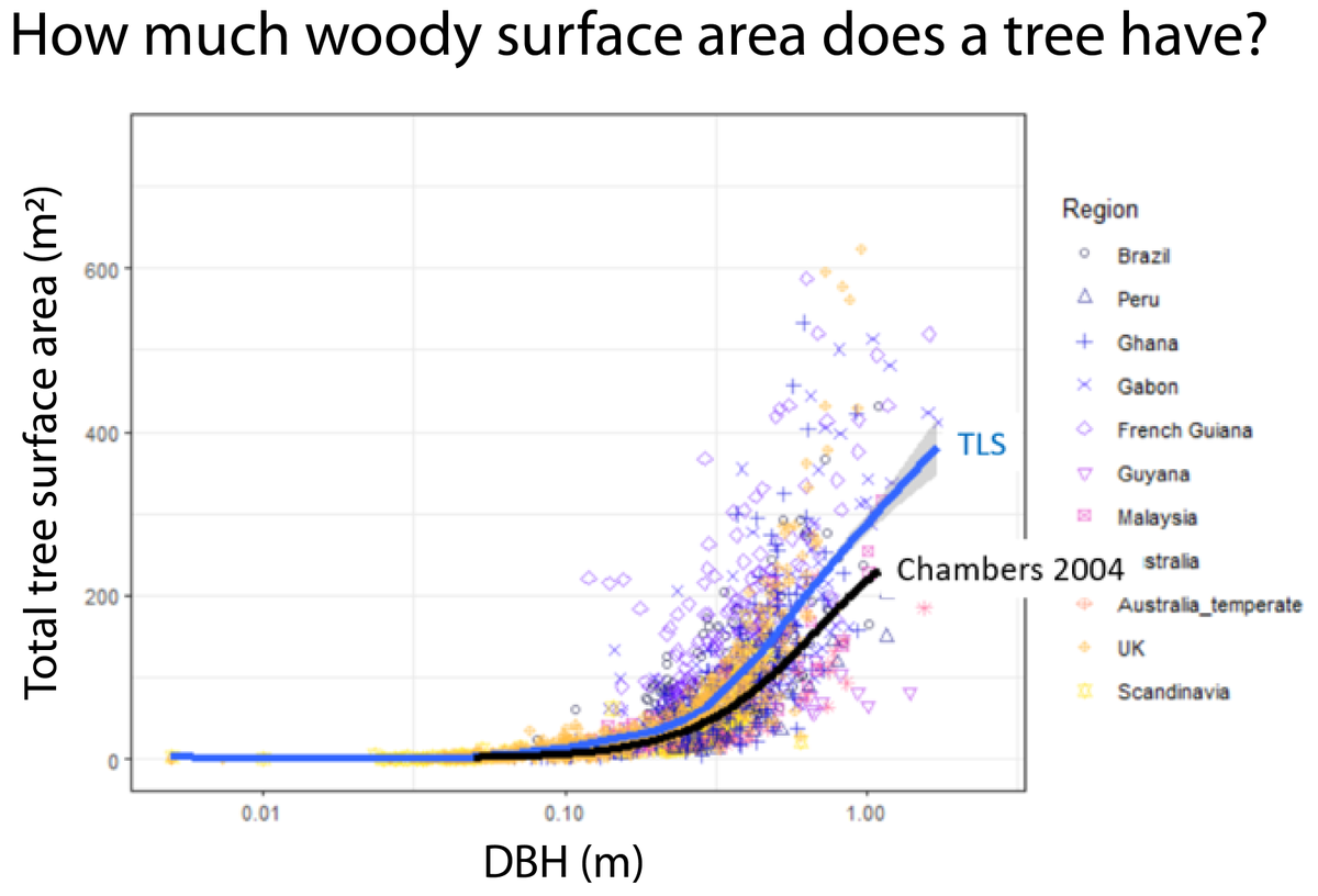 3 |  #TropiCon20True SA is larger than previously estimated. ~20% at small sizes (30cm DBH), ~50% for larger trees (1m DBH). For 1ha of temperate UK forest, total SA from TLS >50% larger than older estimates. Where is this "extra" SA coming from?