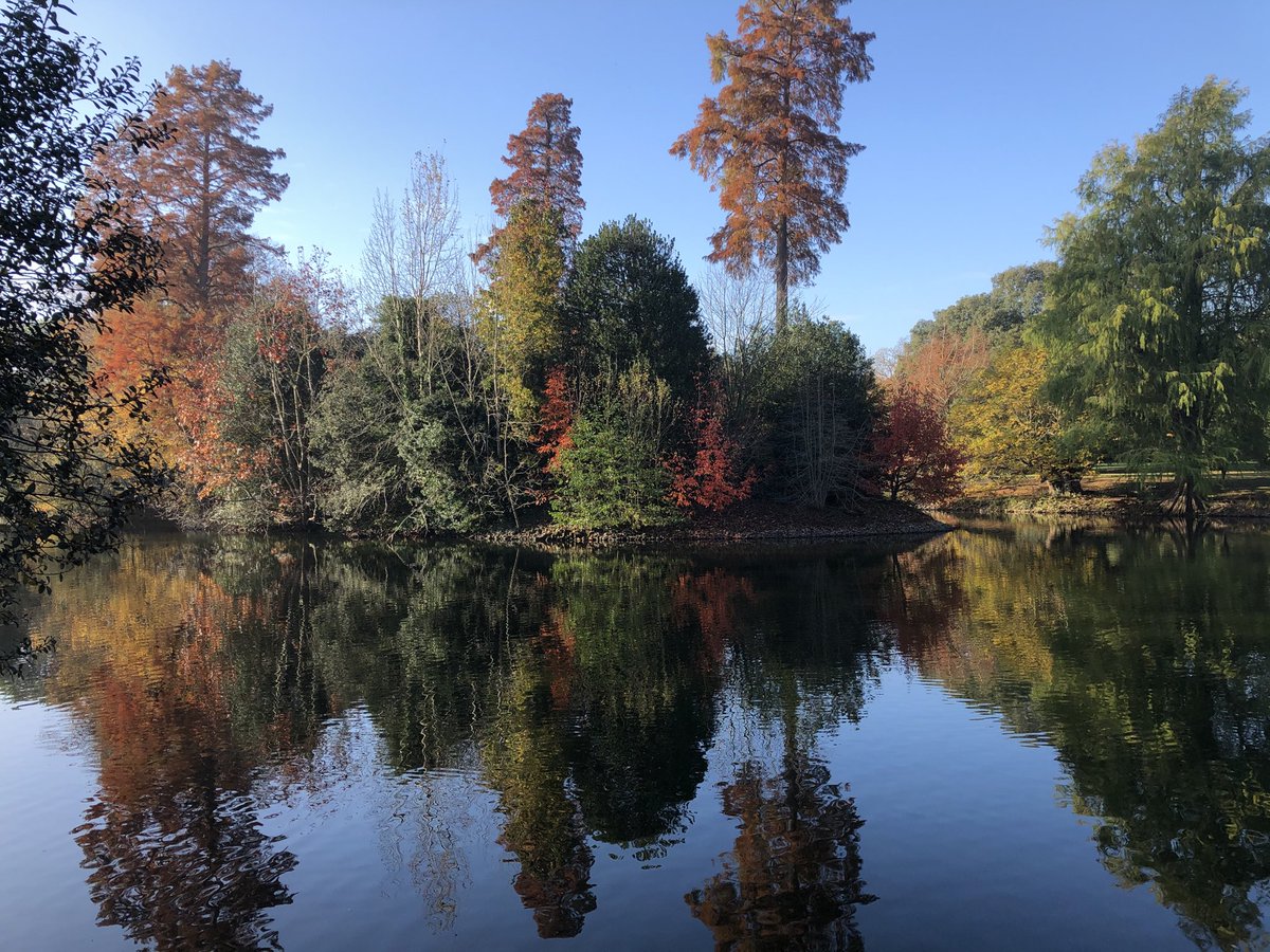 So lucky to have ⁦<a href="/kewgardens/">KewGardens</a>⁩ on my doorstep.