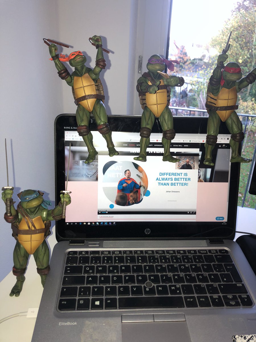 GrotheMaik's tweet photo. Also the Turtles enjoy the experience of @WorldEBDay #worldEBday and I do as well 💪 https://t.co/zrHIULxJGC