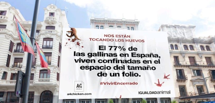 jjaviervazquez's tweet photo. La gran mayoría de los huevos que se consumen en España, vienen de gallinas que pasan toda su vida encerradas en el espacio del tamaño de un folio. Y no es por el Covid-19. @IgualdadAnimal https://t.co/TADdhdi4gE