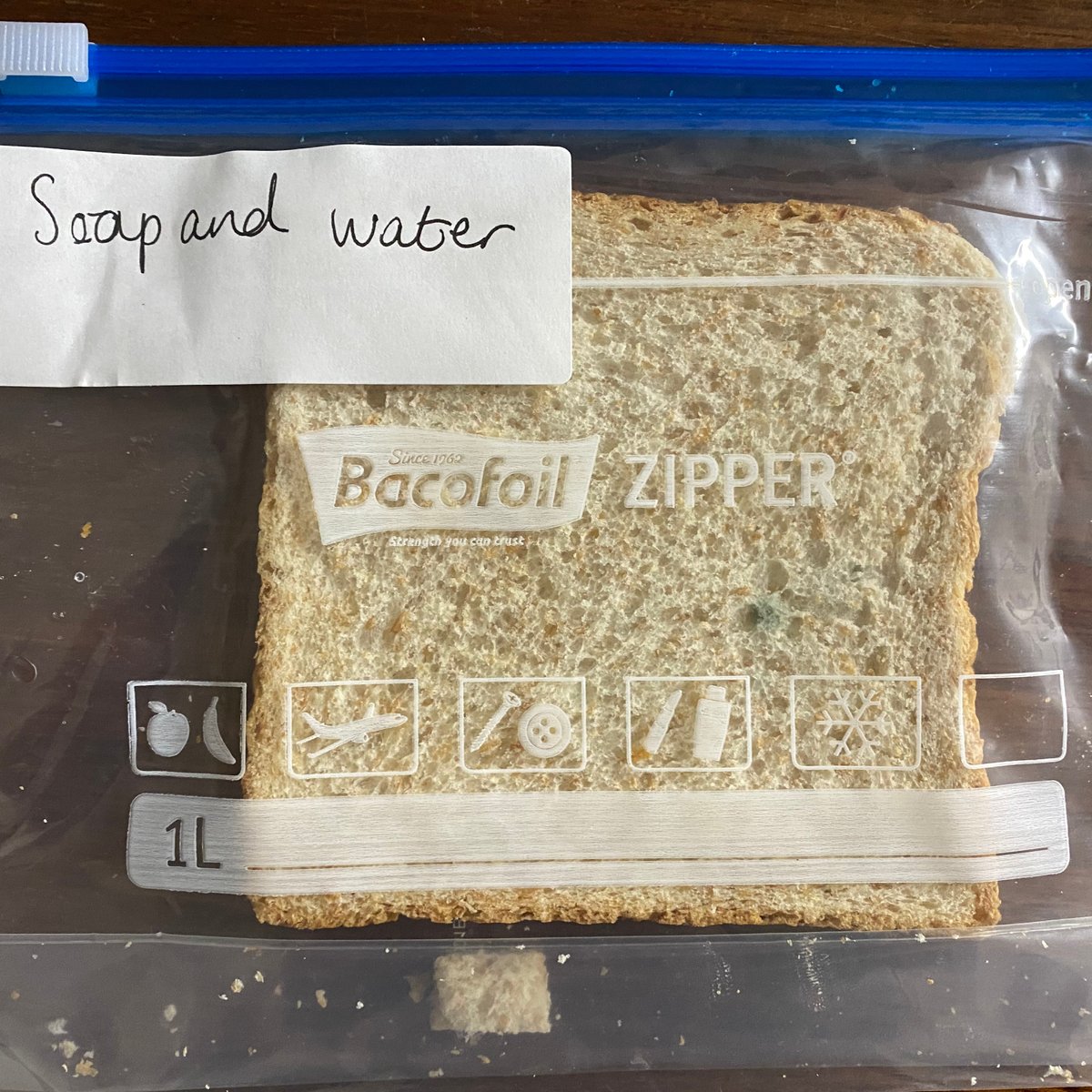 QueenMarysSch's tweet photo. At the end of the last half term, Year 6 conducted a 'Holy Moldy' - Hand Washing experiment.
The girls wanted to share a report with the rest of the school to show that santising may not be as effective as we all thought. 🧫
#QMarysScience #qmarysprep #experimentsforkids https://t.co/L52zmwAPGd