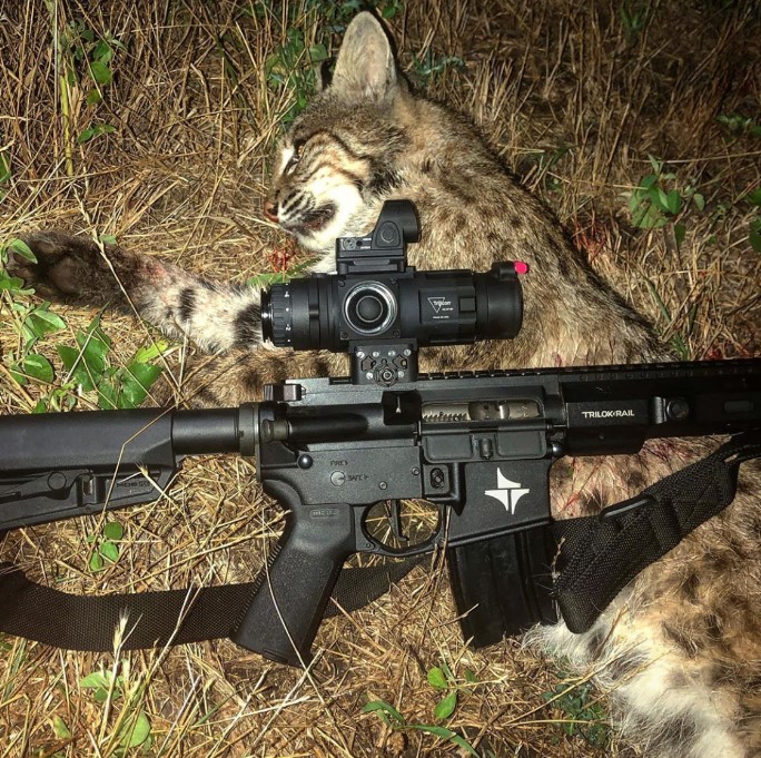 TrijiconHunt's tweet photo. When bobcat hunting, does “here kitty kitty” work to call them in?

📷 IG: cjmorris2010

@TriarcSystems

#REAPIR #SRO #PredatorHunting https://t.co/Neqt1wWQwf