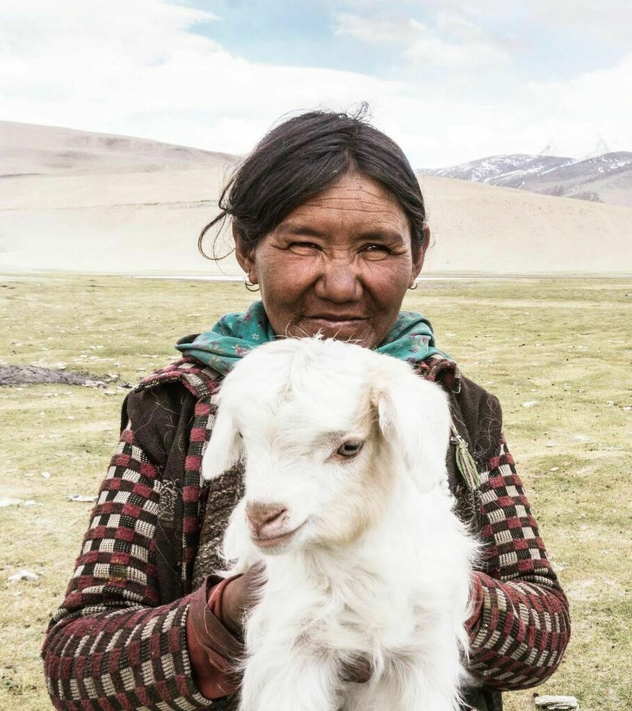 FromTheRoad's tweet photo. This morning I felt the need to post a cuteness break. Wishing everyone as peaceful of a day as possible. ✌🏽🐐💛#remote #sanitybreak

https://t.co/10Hgb4R87Z https://t.co/oNTPakxrLi