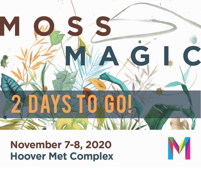 Moss Rock Festival tweet media