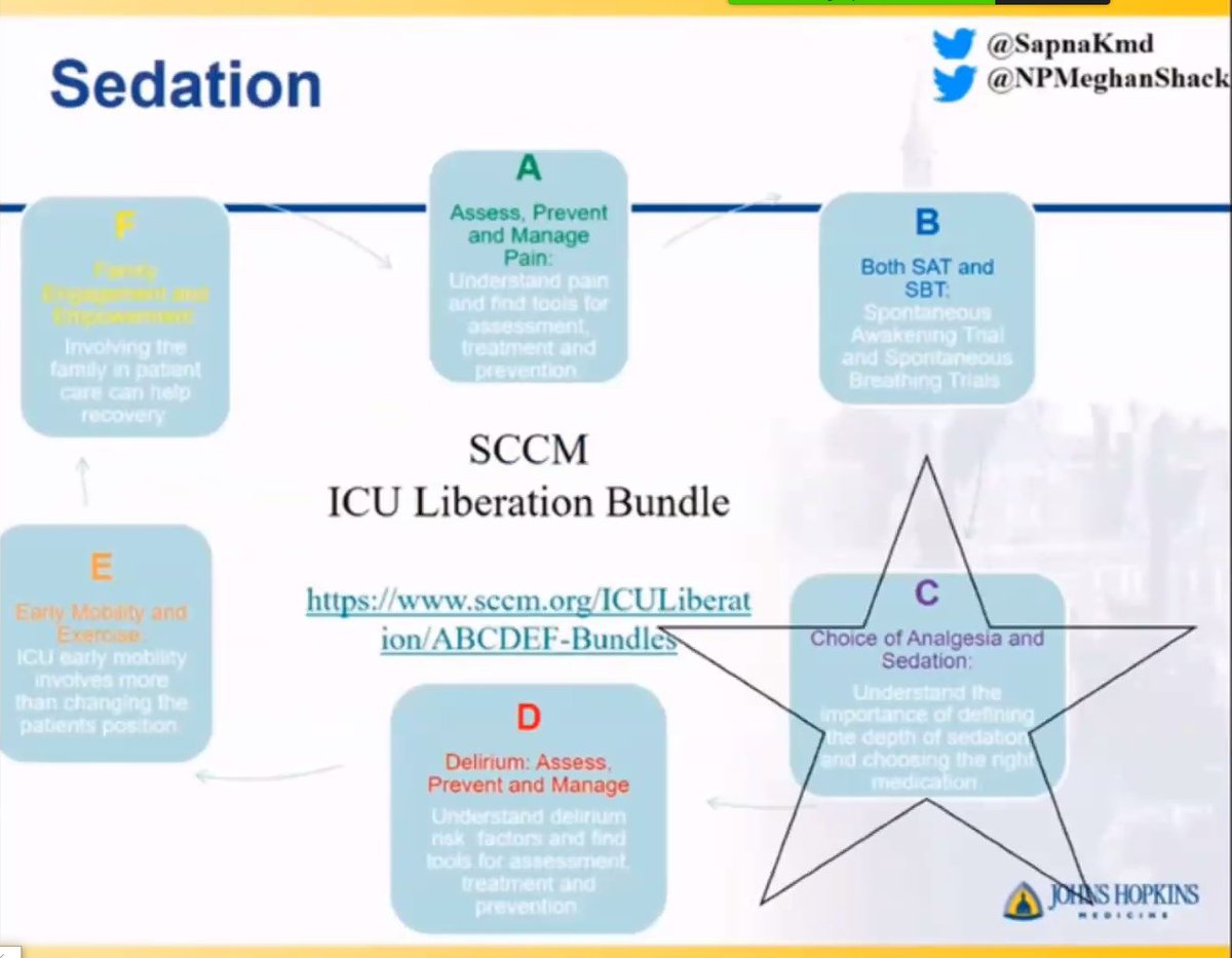 SapnaKmd's tweet photo. Don't reinvent the wheel! The #A2FBundle is a perfect foundation and shared mental model to get started on #illnessdoesntmeanstillness through interprofessional #icurehab programs.
via @NPMeghanShack @icurehab @HopkinsPICU #PedsICU https://t.co/lQy3qT4KDb