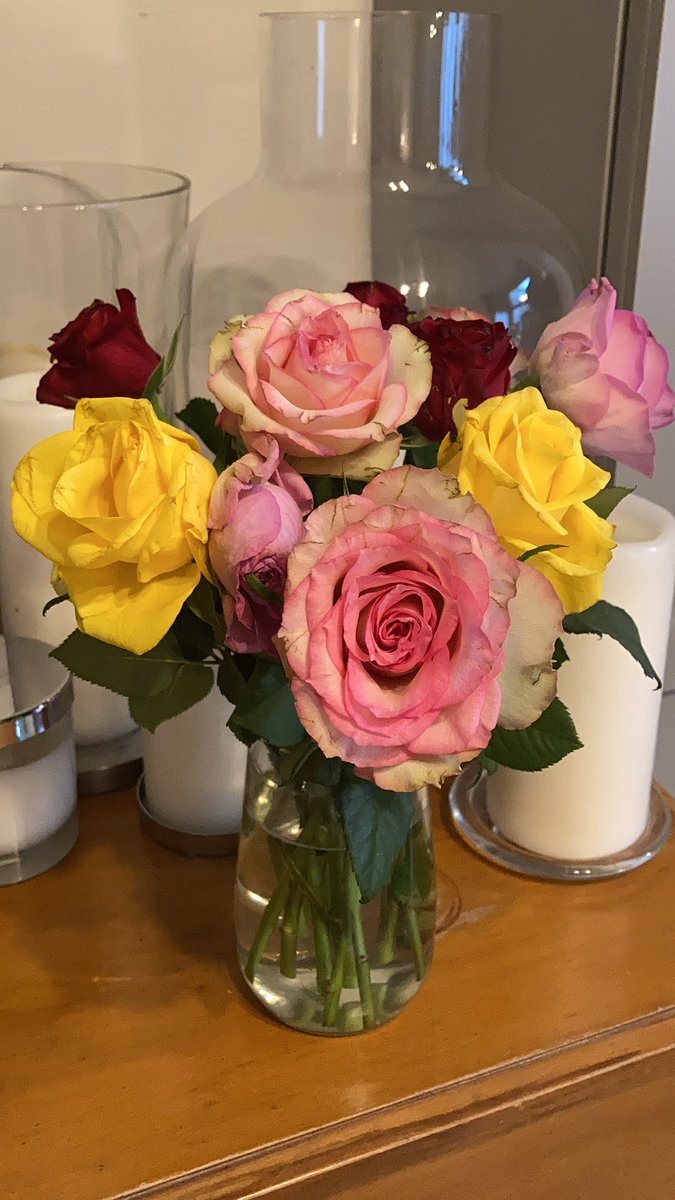 sarah_church's tweet photo. I’ve had enough of today.
Everything/one is annoying me, and now my roses are dead.
The whole thing can just cock off.
#cockoff #hadenough #DoOneThursday https://t.co/cPhxvYwCiA