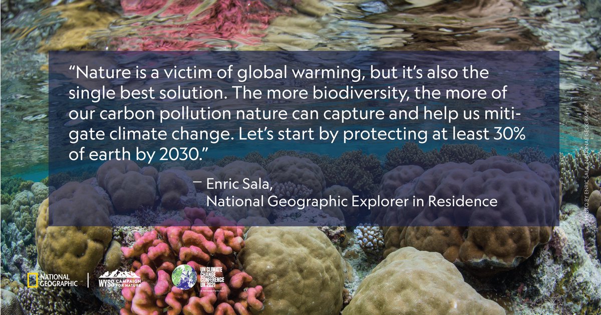 FCDOGovUK's tweet image. “Nature is a victim of global warming, but it’s also the single best solution”

Ahead of the UK 🇬🇧co-hosting the #COP26 next year, @Natgeo Explorer, @Enric_Sala calls for the protection of nature and biodiversity by 2030. 👇

@InsideNatGeo #COP26Ambition #TogetherForOurPlanet