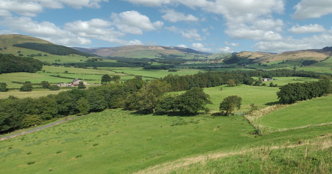 NEWS
A new placement-linked scholarship with the Duchy of Lancaster is opening up for applications from second- year students on Rural Estate and Land Management or Rural Property Management degree programmes at Harper Adams.

Read more: harper-adams.ac.uk/news/203554 #degreesthatmatter