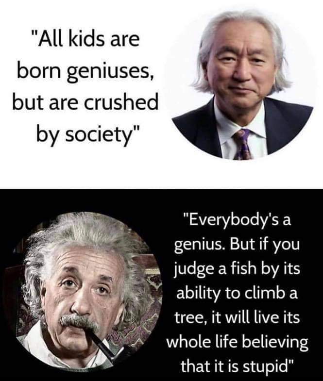 budimandjatmiko's tweet photo. "Tiap anak terlahir jenius hingga mereka diremuk o/ lingkungan sosialnya" (Michio Kaku)
"Setiap orang adalah jenius. Tapi jika kau menilai seekor ikan dr kemampuannya memanjat pohon, kau akan membuat sepanjang hidupnya meyakini betapa bodohnya ia" (Einstein) https://t.co/JJIjYLFhGx
