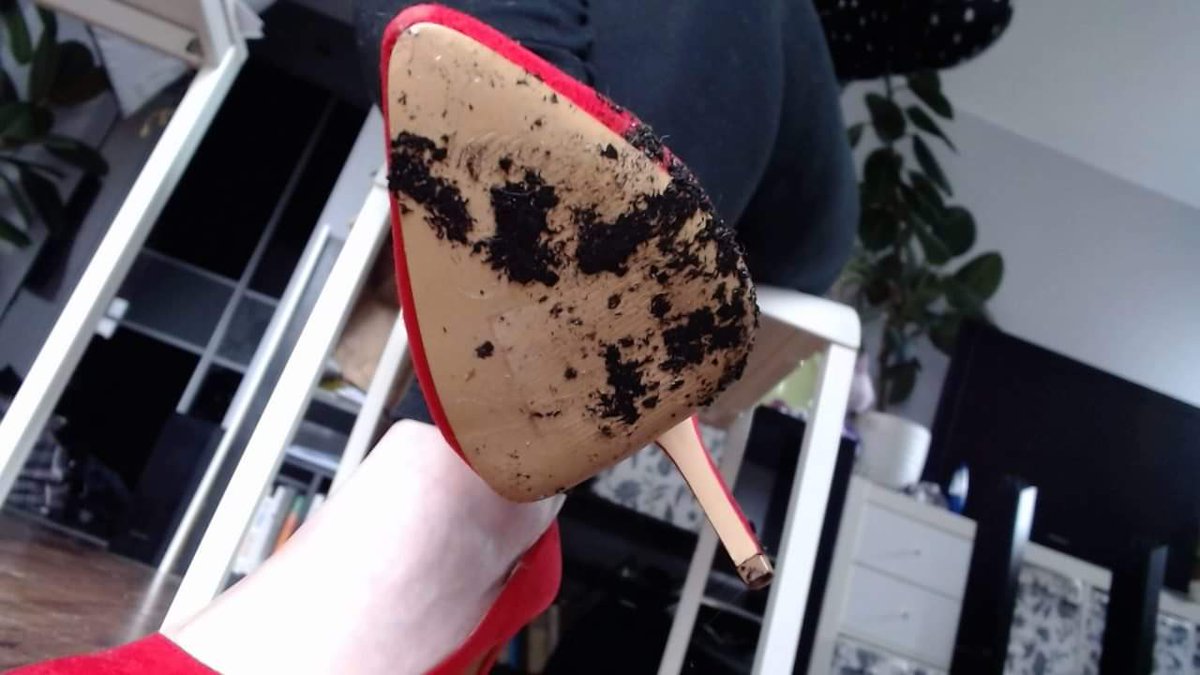 TwojaPaniM's tweet photo. Coś do wyczyszczenia kundle 👠 ... Kto chce filmik? Zgłaszać się grzecznie z blikiem lub wpłata na yeti 😉🖕

#findom #femdom #cleanmyshoes #humanatm #paypig #dirtyshoes https://t.co/QRupEsUldX