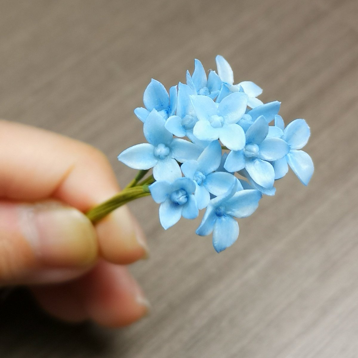 黏土花hashtag 黏土花hashtag