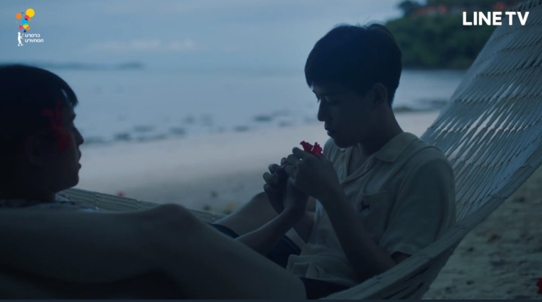 비 메이타위 tweet media