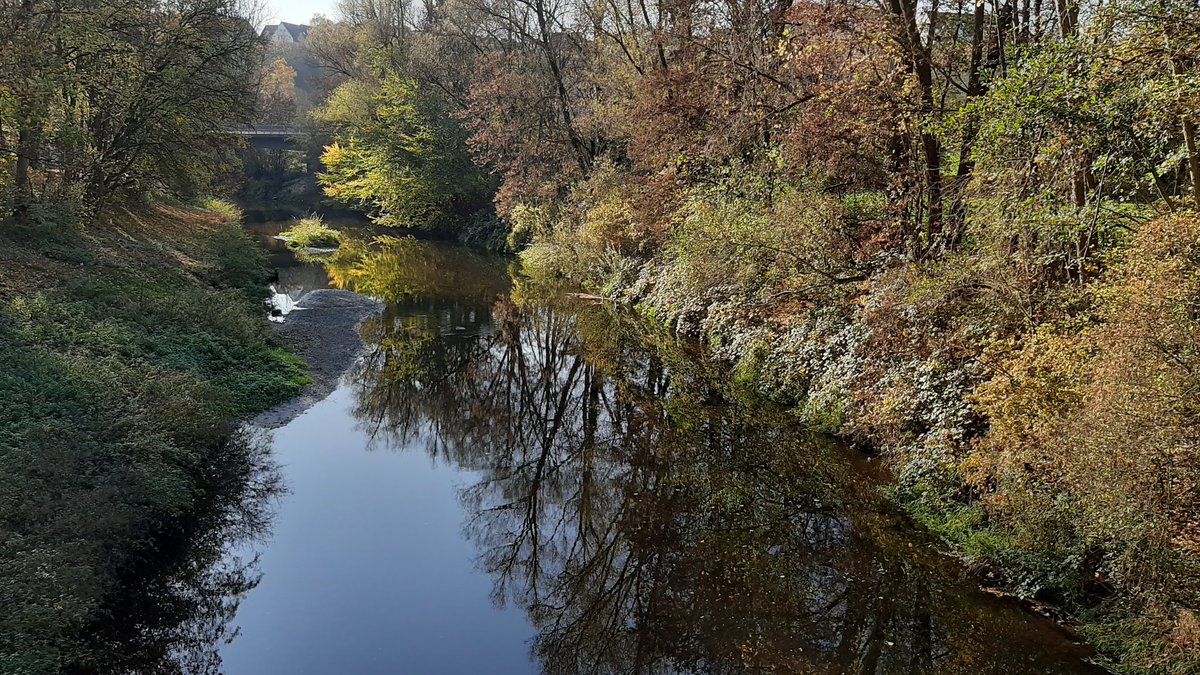 Gartenglueck2's tweet photo. Traumtag https://t.co/MiA2scfWP1