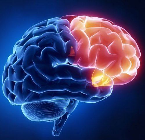 Vad är FTD?

FTD är kort för frontallobsdemens och är en så kallad neurodegenerativ sjukdom. Detta innebär att nervceller i hjärnan förtvinar och dör.  

Läs mer om Swedish FTD Initiative och deras arbete här: frontallobsdemens.se