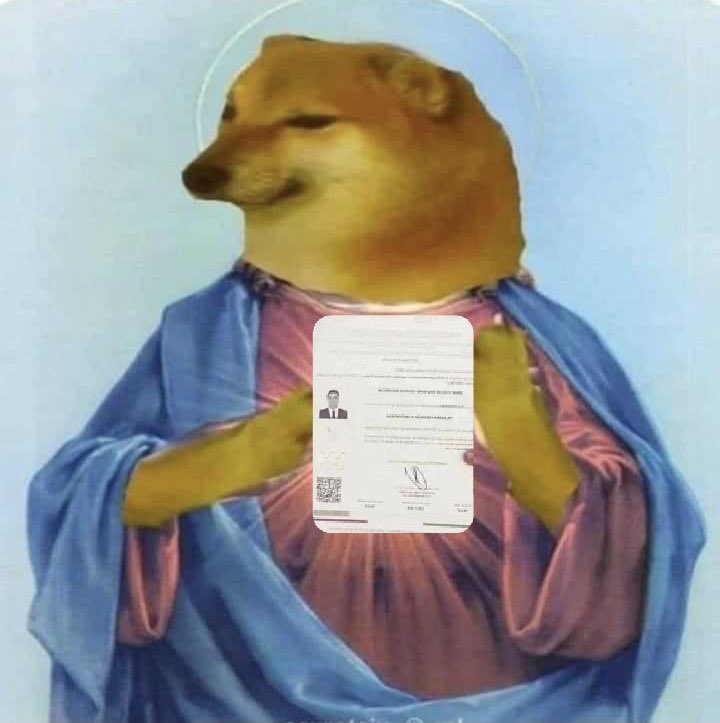 DrCheems's tweet photo. Te acabas de topar con el cheems milagroso, dale RT y tendras buena suerte en tu examen y plaza #ENARM https://t.co/lNyMkiH7O3
