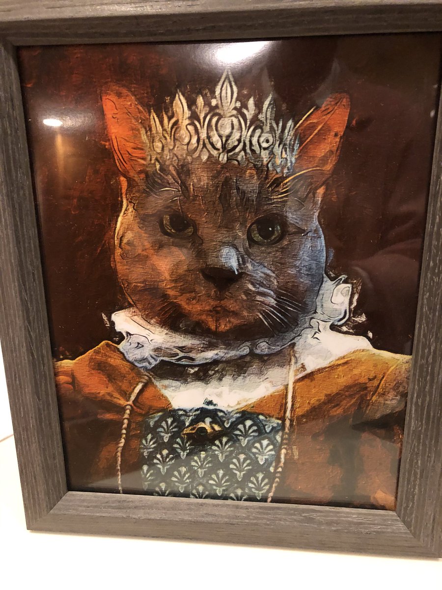 traceymasella's tweet photo. @duchessgoldblat @ConnieSchultz Here is a fancy rendering of our dowager Violet. (I know she is a cat, but she does look a bit like Duchess, no?) https://t.co/yRVkJHqs7J