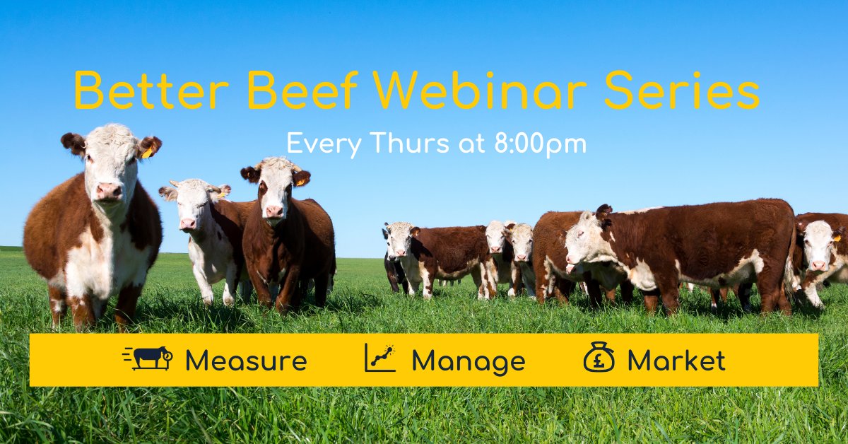 _Breedr's tweet image. Join @JPBWFarm for a LIVE WEBINAR at 8pm TONIGHT to find out how to have a stress free weigh session using Crush Mode and an insight into upcoming features. 👩‍🌾🐄🧑‍🌾🐂

Register at hubs.la/H0zdMqc0

#precisionbeef  #teambeef #agritech