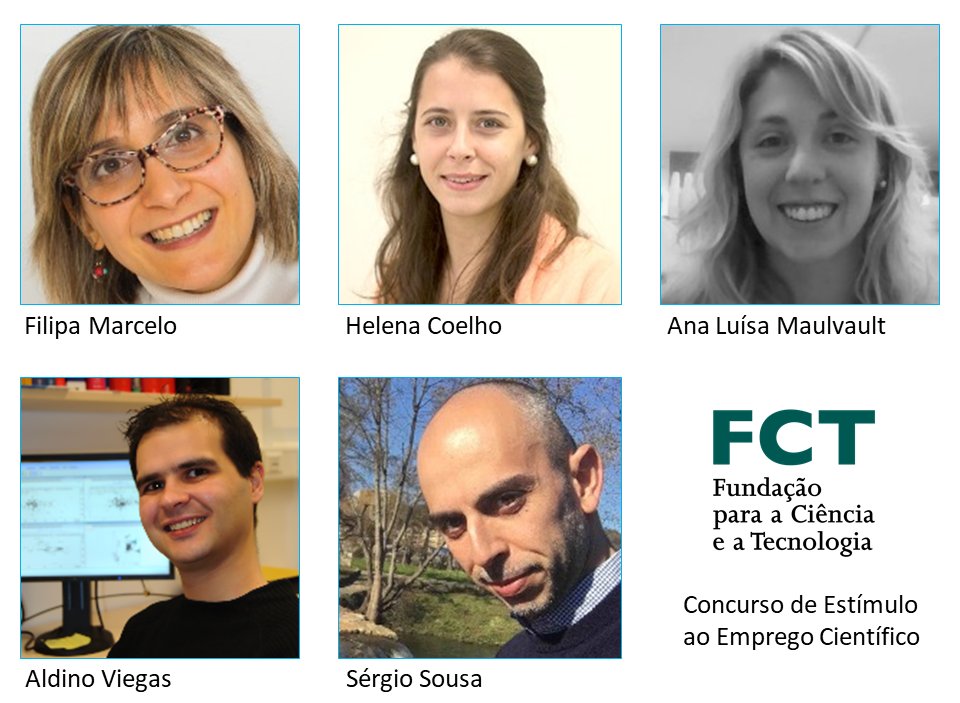 UCIBIO_Research's tweet photo. Five @UCIBIO_Research researchers are among the 300 employment contracts for doctoral researchers under the Scientific Employment Stimulus Competition approved by the Science and Technology Foundation.
Get to know who they are:
https://t.co/v990i44II7 https://t.co/08vXs0v6n5