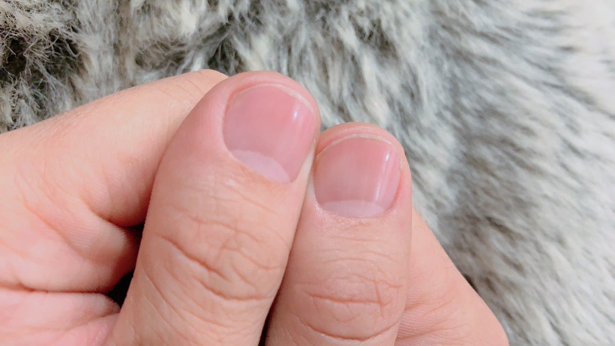 オーリー🇺🇸群馬ノマド釣りバカ日報 tweet media