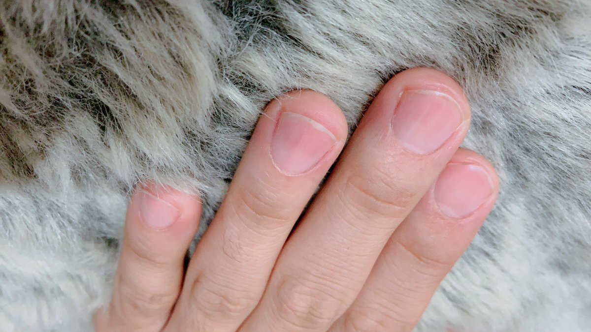 オーリー🇺🇸群馬ノマド釣りバカ日報 tweet media