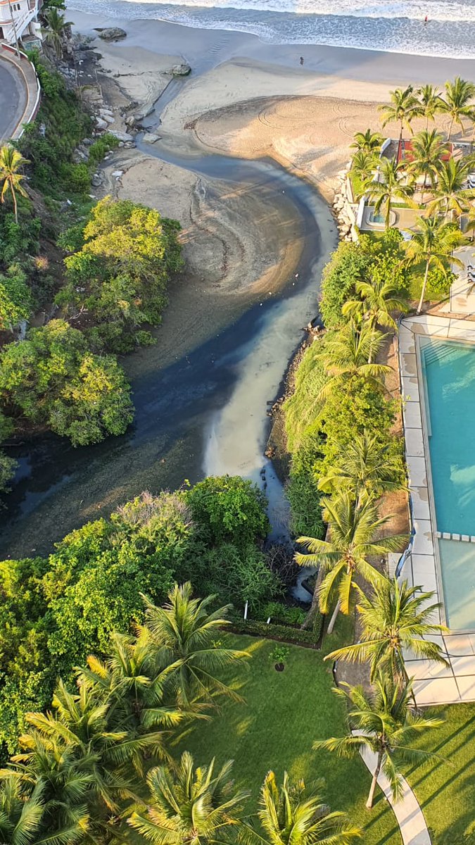 churrita82's tweet photo. Necesitamos de su apoyo para detener este crimen ambiental, aguas negras contaminan nuestro mar y ponen en riesgo la salud de nuestras familias y de flora y fauna. 
Contamos con su apoyo #poramoramanzanillo
@SSP_COLIMA @nachoperaltacol @saludcolima @GriseldaMtzMtz @manzanillo_h https://t.co/hJoMVLOYuu