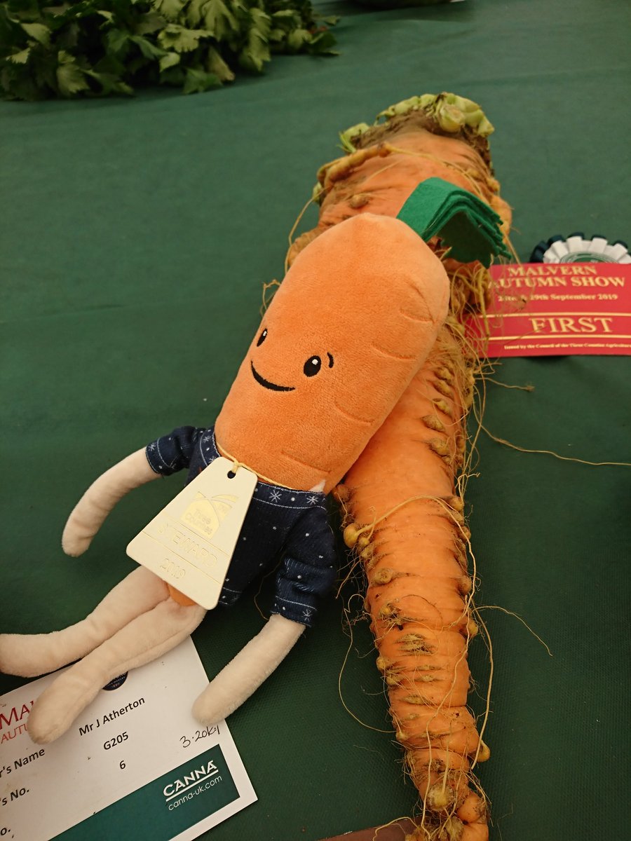 tinytracey73's tweet photo. @AldiUK He entered himself into a veg competition!! https://t.co/7YL227NCET
