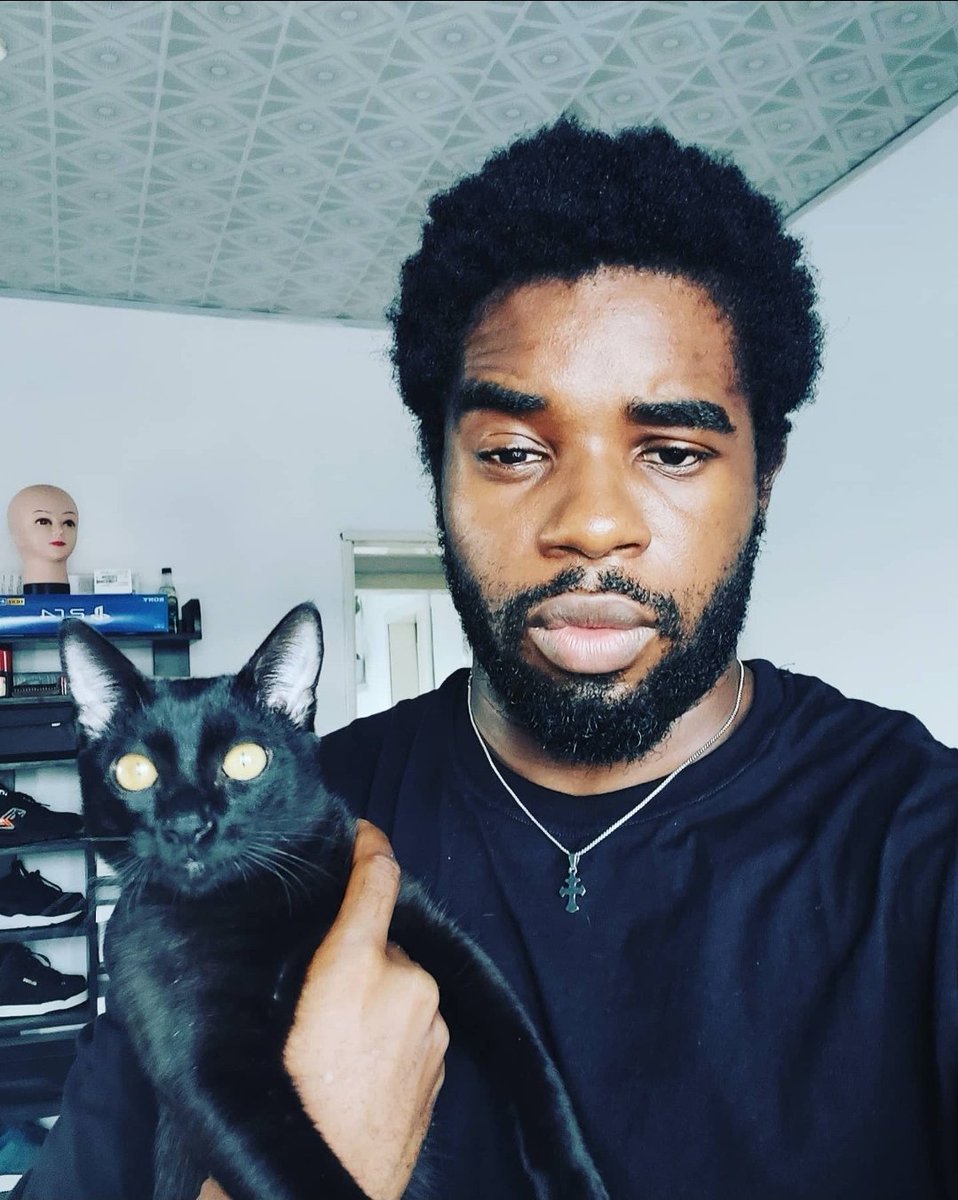 _chisomokafor's tweet photo. Nigerian cat parents, let's show off our babies.

Meet Shadow. She's 6months old. https://t.co/zDbyxJbPsw