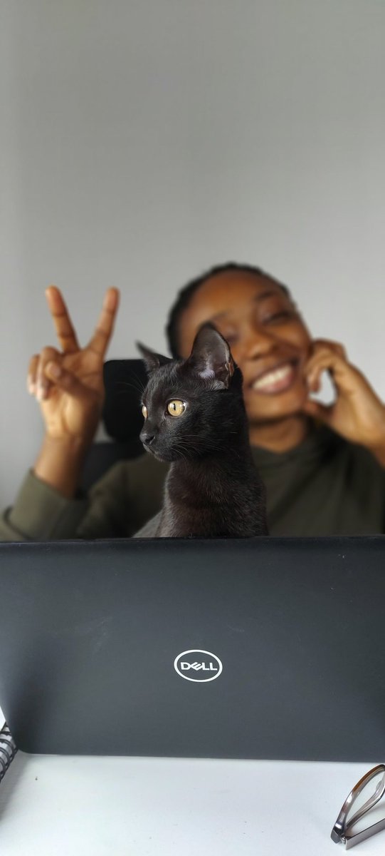_chisomokafor's tweet photo. Nigerian cat parents, let's show off our babies.

Meet Shadow. She's 6months old. https://t.co/zDbyxJbPsw