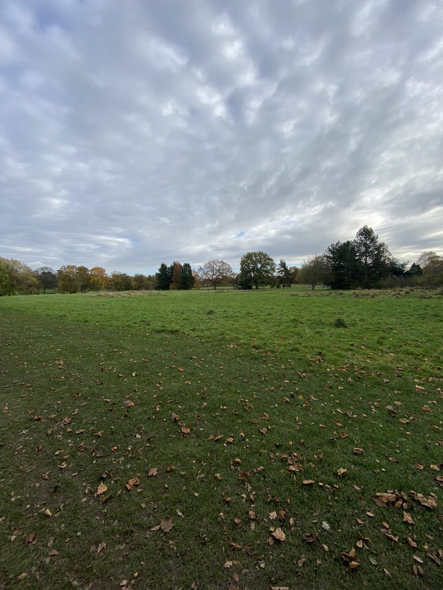 lmacklin_IM's tweet photo. Managed to get away from the desk for a short walk today & itโs made me feel infinitely better. Iโm so lucky to have such greenery on the doorstep #lockdownselfcare https://t.co/WRScGOd4de