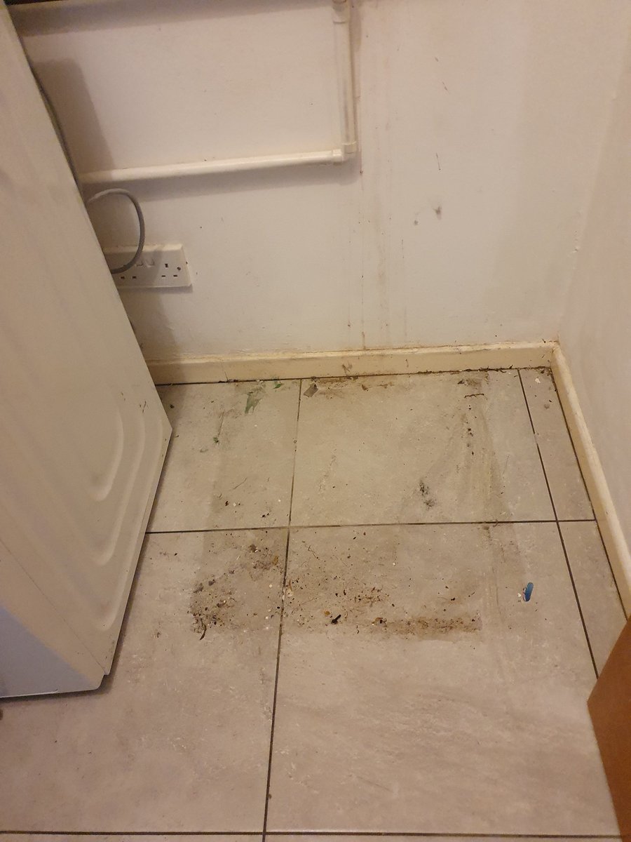 JoanneTognarel1's tweet photo. #seekingsunshine 
1) #happypost #jewellery 
2) cleaning behind &amp; underneath the washing machine &amp; tumble dryer
#selfcare #mentalwellbeing #MentalHealthMatters #MentalHealthAwareness #hinchingmad #hinchingaddict #cleaningaddict #cleaningmad #hinching #cleaning https://t.co/gUO4NfaBkp