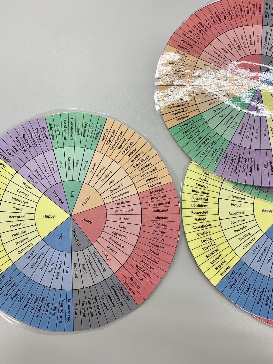 Lyndsey Hoffman tweet media