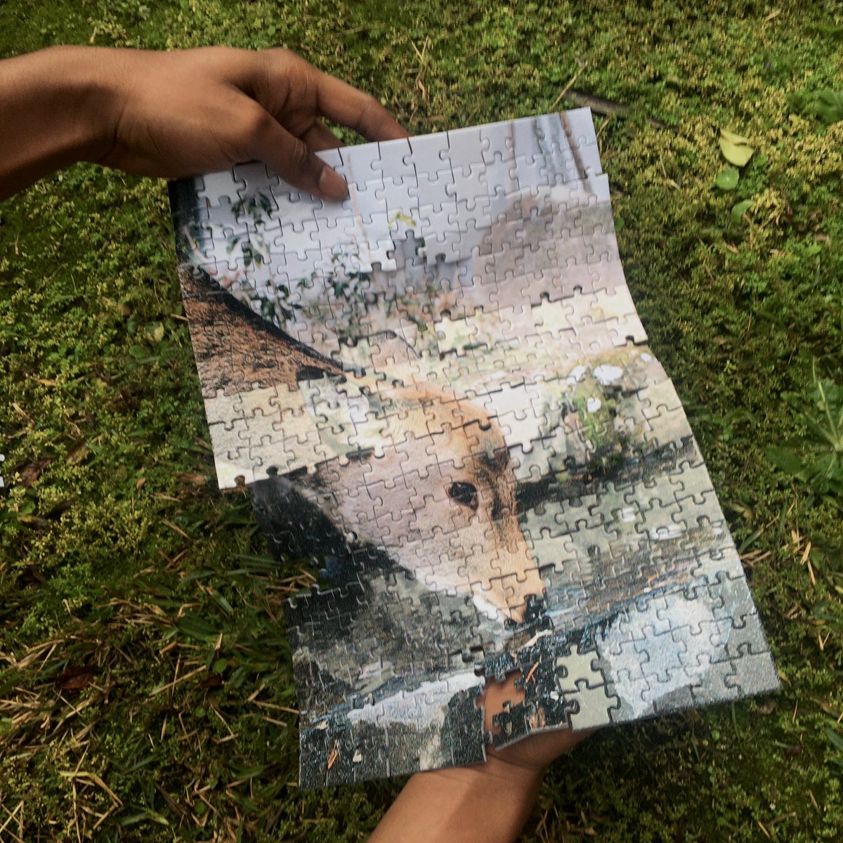 timelessgoods's tweet photo. Looking for an experience to share with loved ones? How about disconnecting with a puzzle? @thegoodtrade put together a list of 10 gifts for the minimalist who values thoughtful gestures &amp; experiences

https://t.co/QUkCVPE2Cm https://t.co/U7qunpEqUA