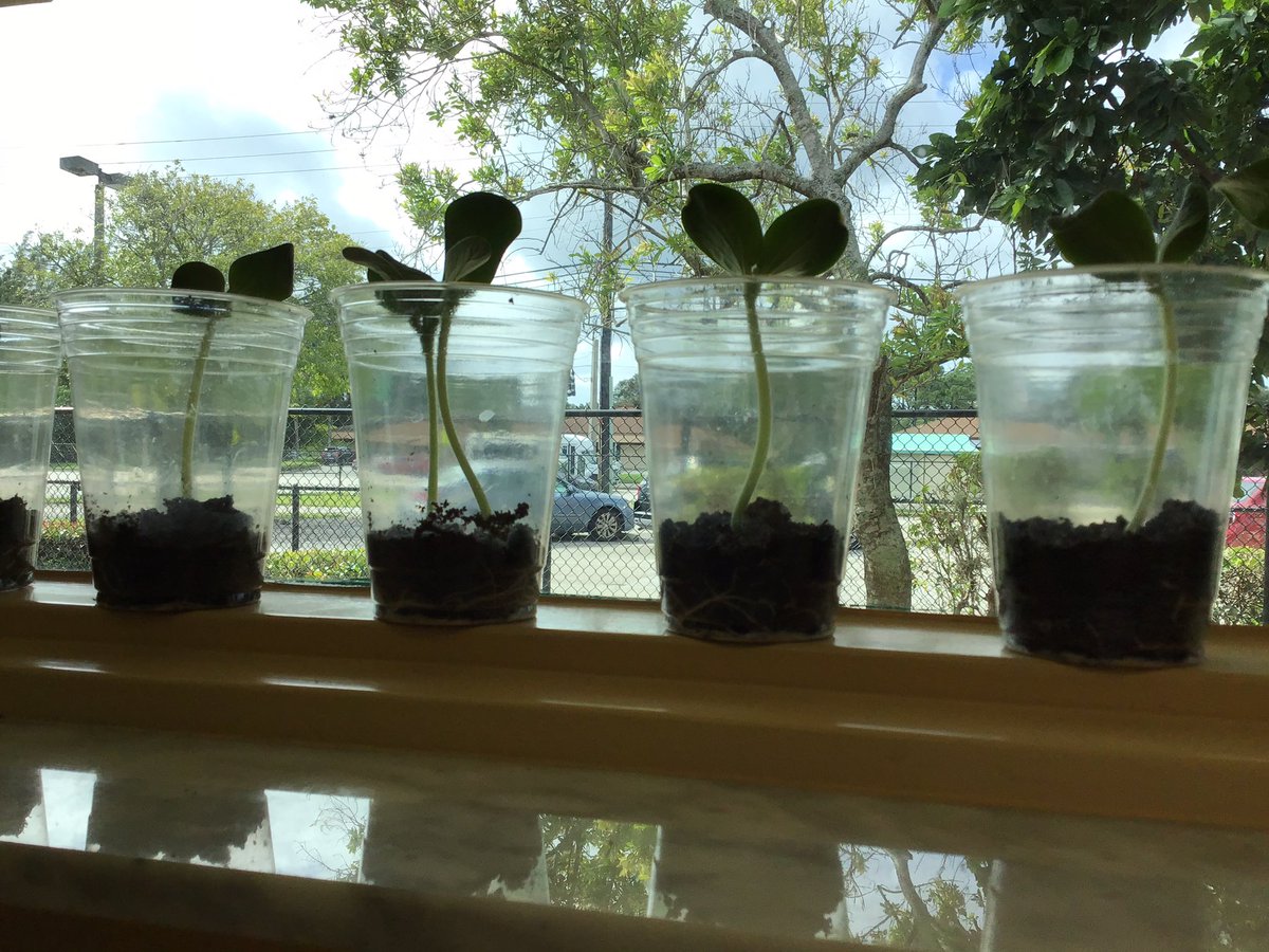 Nancy Bourne tweet media