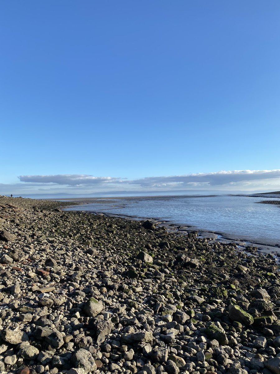 welsh_tenor's tweet photo. As lockdown #2 comes to an end in Wales I finally found Splott beach! #SplottBeach https://t.co/dSGrpfuHDU