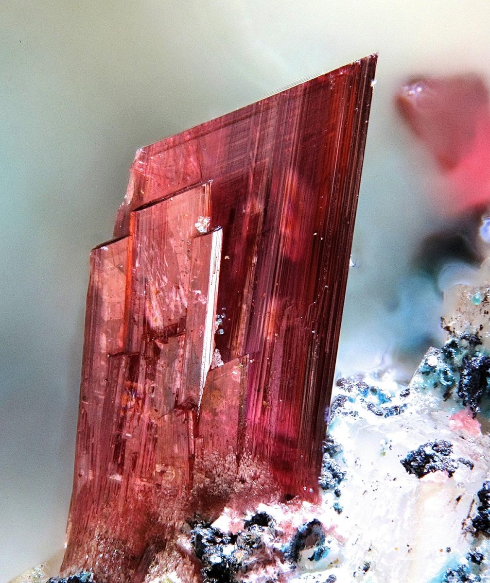 GeologyTime's tweet photo. Sharp and deep red erythrite crystals from Bou Azzer Mine, Amerzgane, Ouarzazate Province, Drâa-Tafilalet Region, Morocco

Credit: Christian Rewitzer

#minerals #crystals https://t.co/8WtIdNpH7F