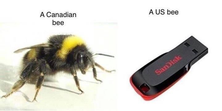 akamemes's tweet photo. https://t.co/wboa0HTA2V