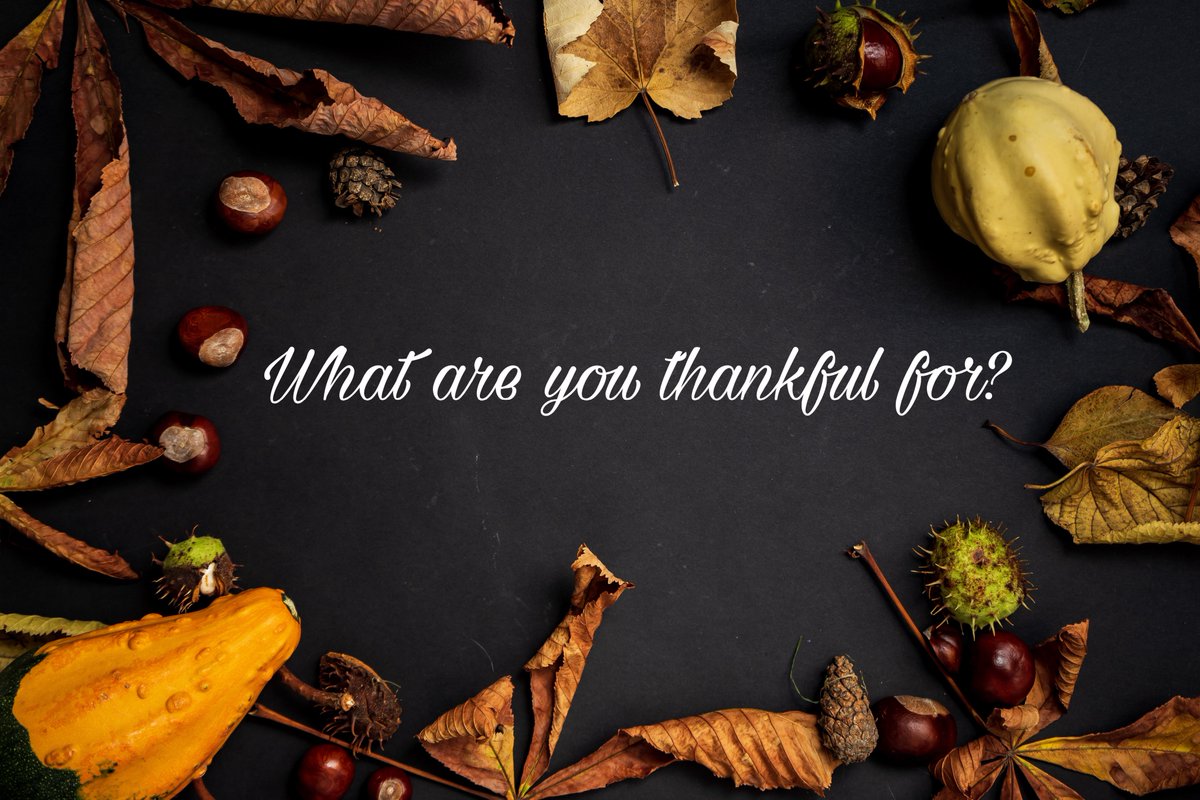 GeorgiaGrown's tweet photo. This is a special month that we celebrate thankfulness. What Georgia Grown products are you thankful for? Comment below! https://t.co/5zXqmkGxvc